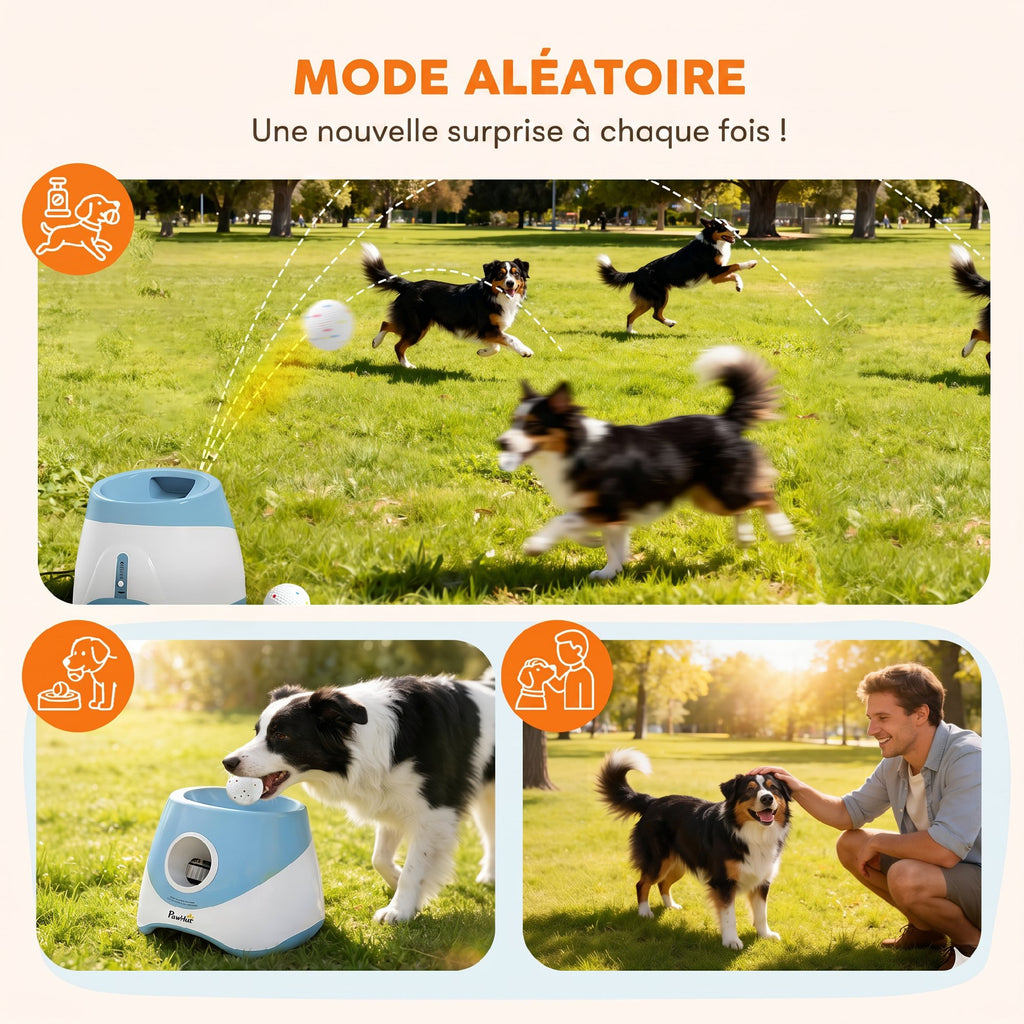 Automatic Ball Launcher-6