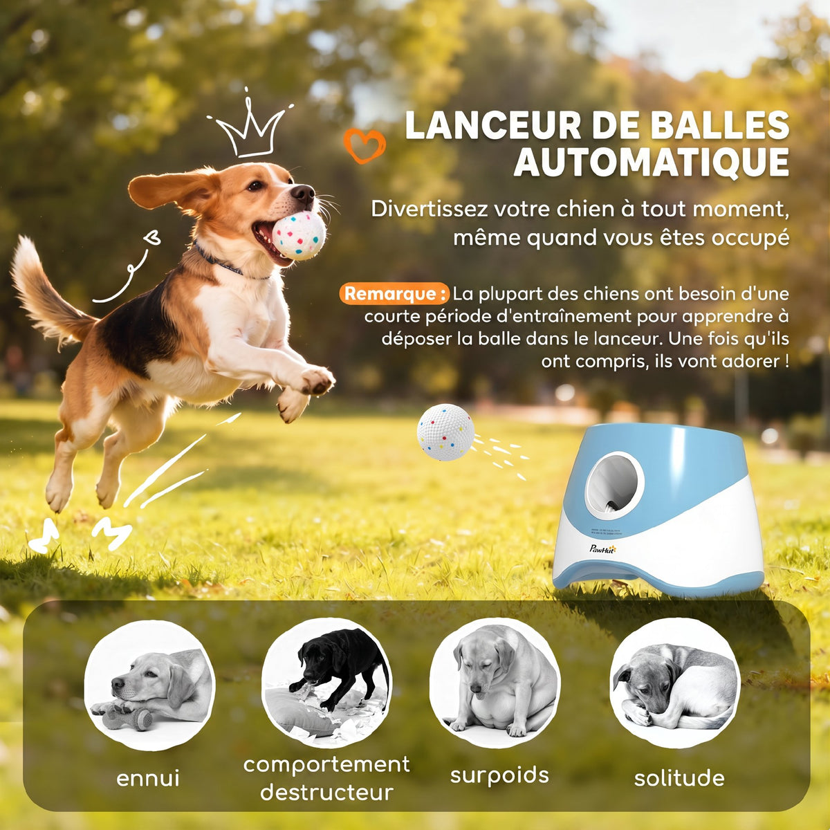 Automatic Ball Launcher-3