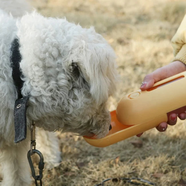 Adventure Dog Water Bottle-2